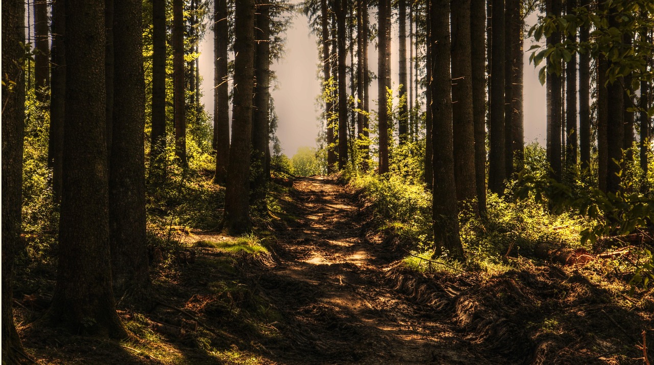 steigern sie ihren stoffwechsel auf natürliche weise mit einfachen und effektiven methoden für mehr energie und wohlbefinden.