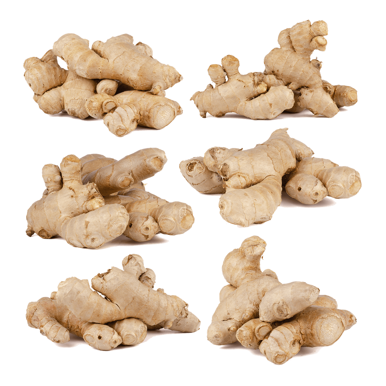 entdecken sie köstliche vegane rezepte und einfache zubereitungstipps für eine gesunde, pflanzliche küche.