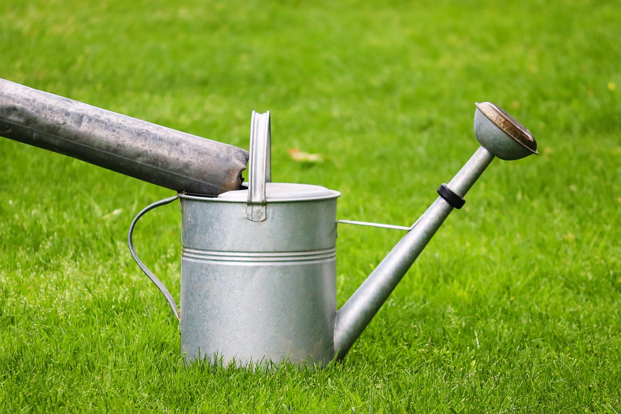 erfahren sie, wie viel wasser sie täglich trinken sollten, um gesund und hydratisiert zu bleiben. tipps und empfehlungen zur optimalen wasseraufnahme für jeden tag.