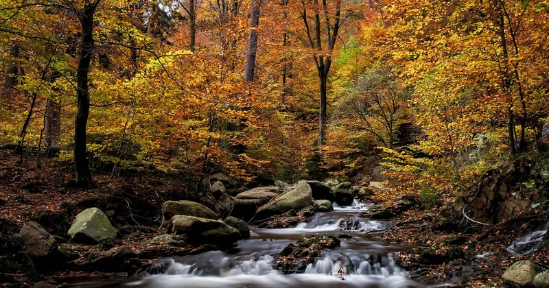 Green Hell Harz Rezept: der Moment, in dem Ihre Ausrüstung erwachsen wird
