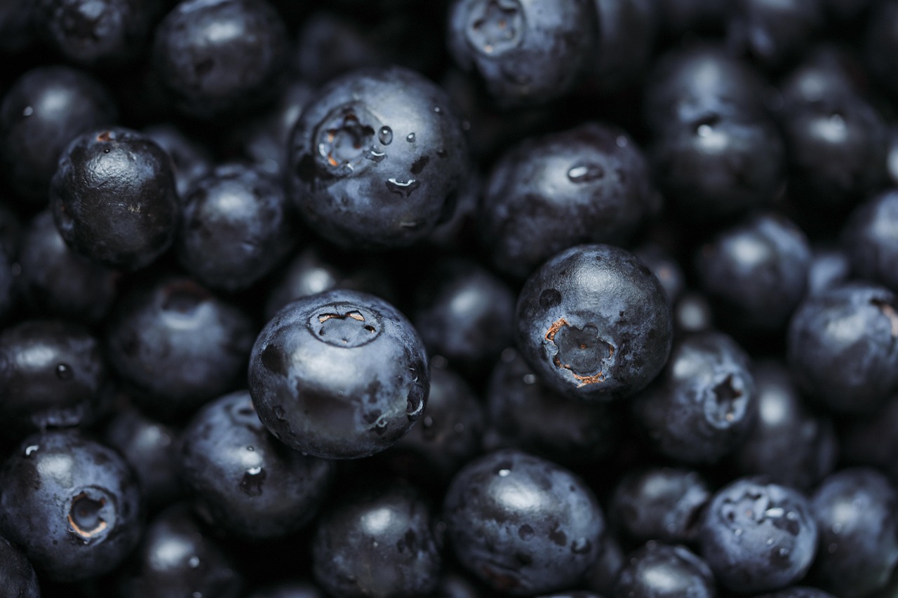 Die 5 besten Superfoods für ein starkes Immunsystem