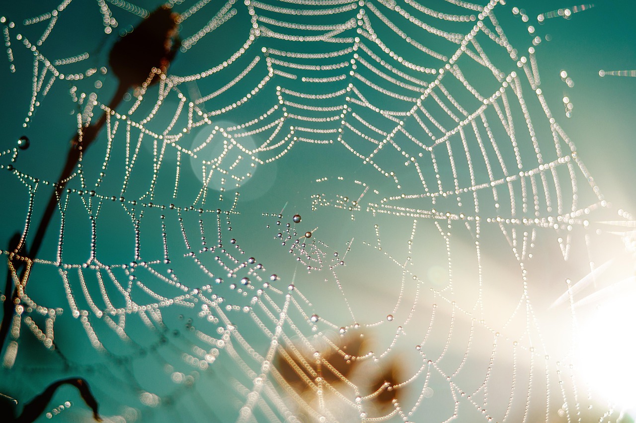 Webdesign und Barrierefreiheit: Ein Leitfaden