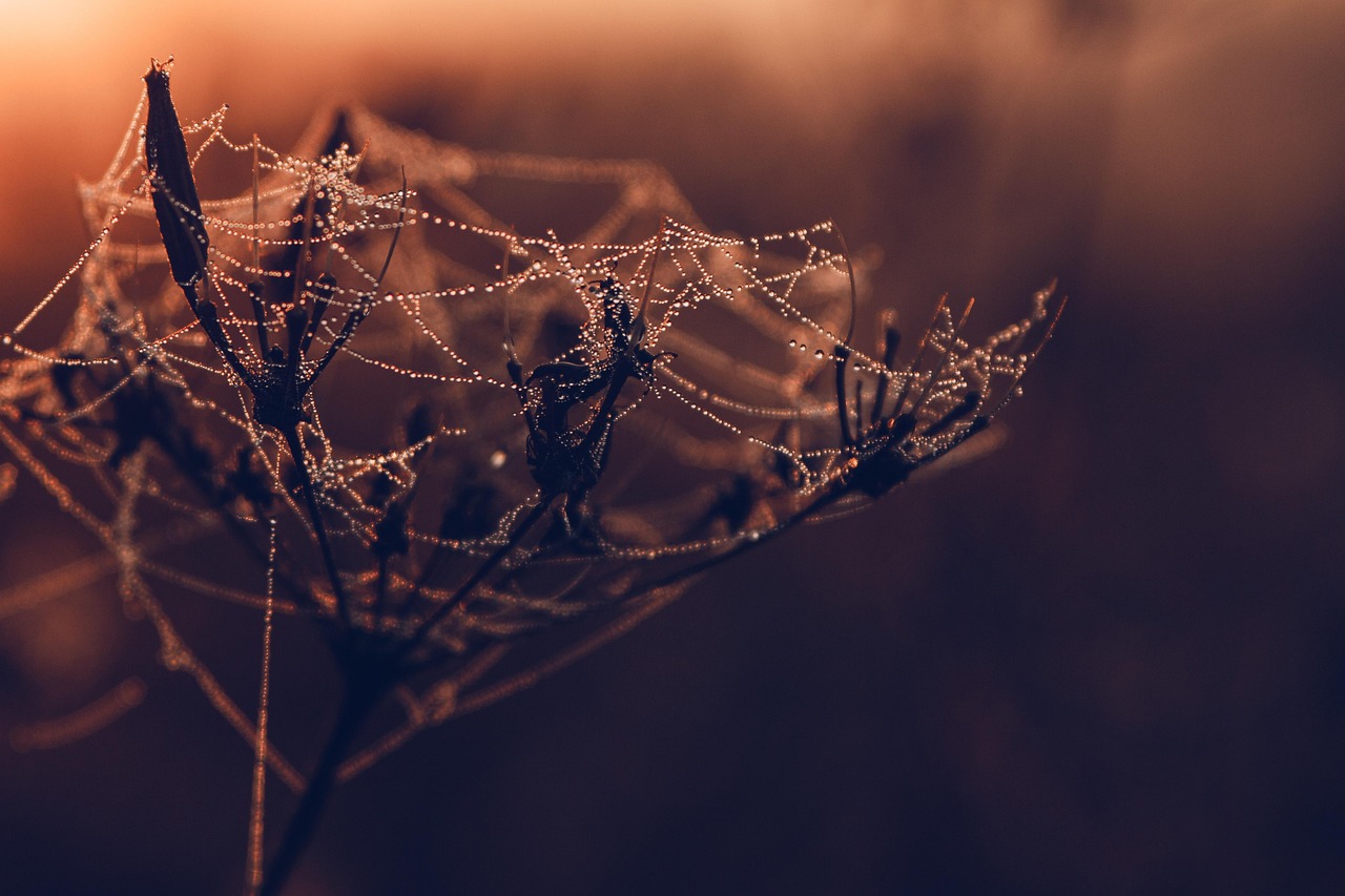 entdecken sie innovatives webdesign, das nicht nur ästhetisch ansprechend ist, sondern auch benutzerfreundlich und effektiv. lassen sie uns gemeinsam ihre online-präsenz optimieren!