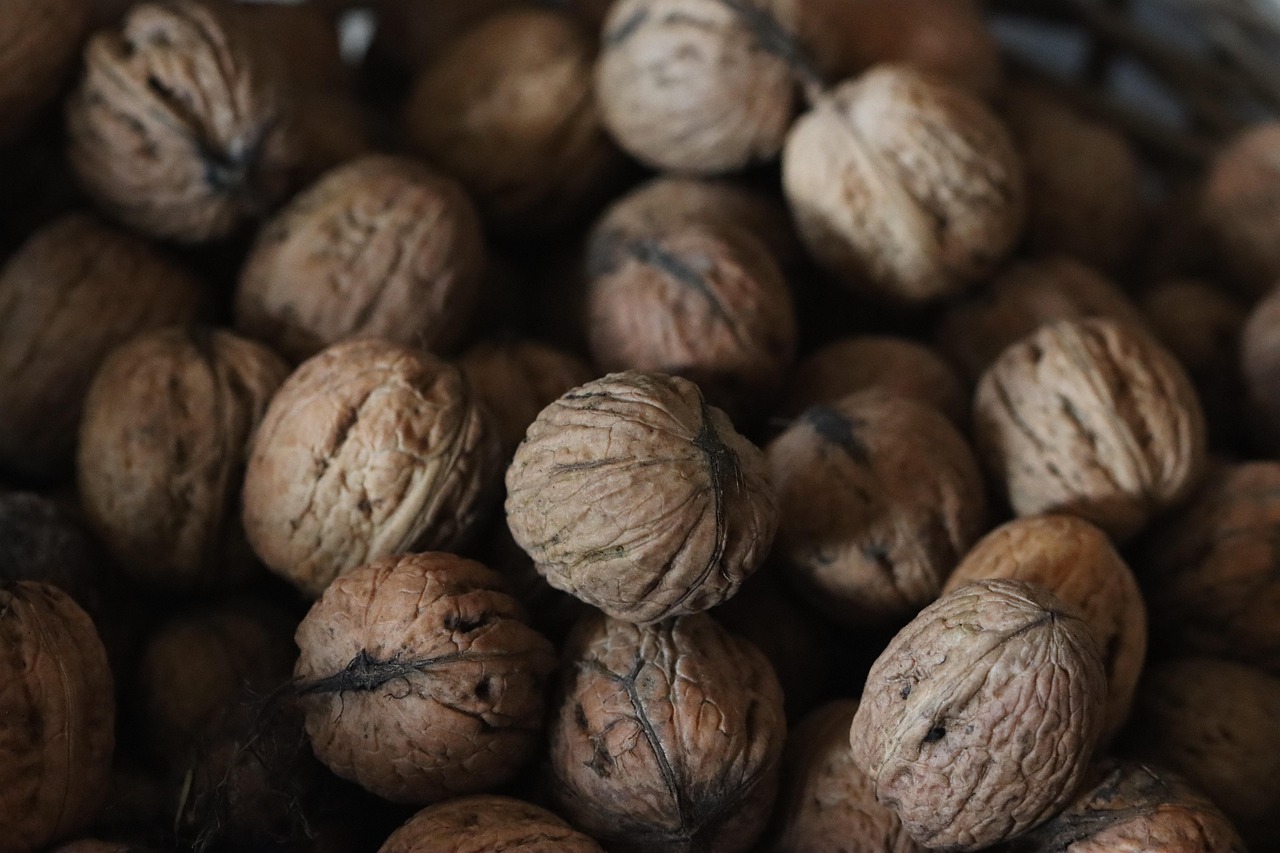 entdecken sie die kraft der superfoods – nährstoffreiche lebensmittel, die ihre gesundheit und energie steigern.