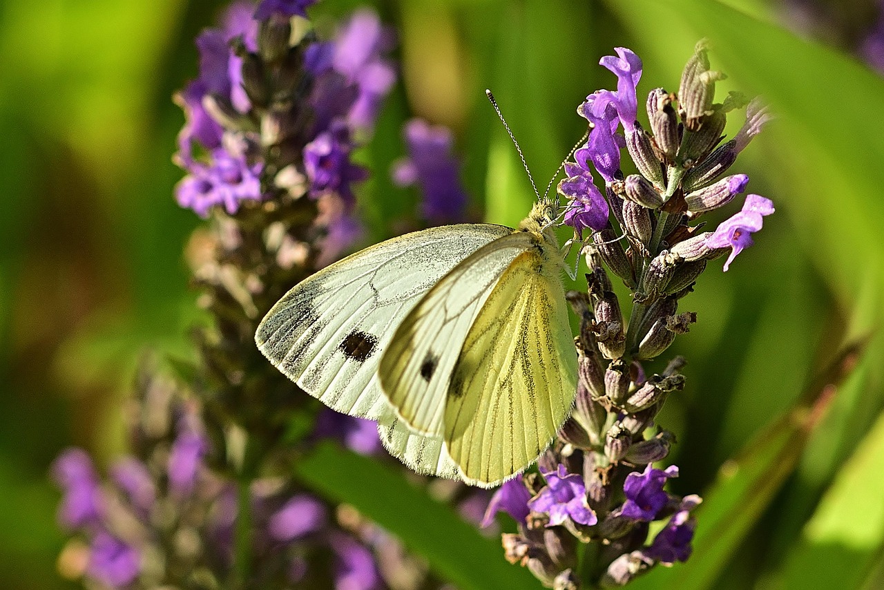 erfahren sie, wie viel wasser sie t&auml;glich trinken sollten, um gesund und hydriert zu bleiben. tipps zur optimalen fl&uuml;ssigkeitsaufnahme und vorteile von ausreichendem wasserverbrauch.
