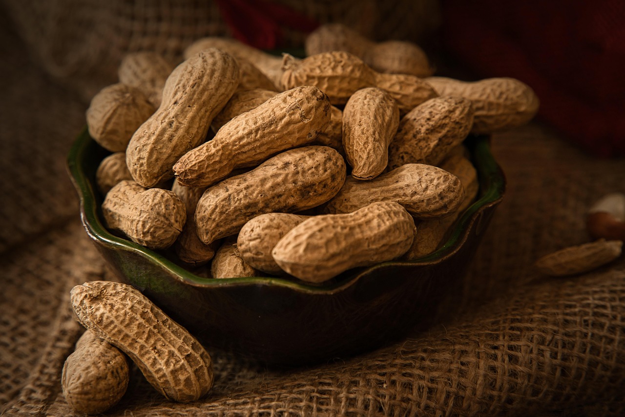 gesunde snacks: entdecken sie k&ouml;stliche und nahrhafte snack-ideen f&uuml;r zwischendurch, die energie liefern und wohlbefinden f&ouml;rdern.