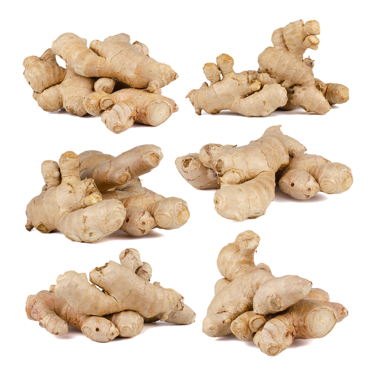 entdecken sie k&ouml;stliche vegane rezepte und einfache zubereitungstipps f&uuml;r eine gesunde, pflanzliche k&uuml;che.